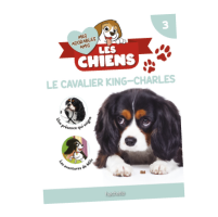 N3 : Fascicule et peluche Cavalier King Charles OFFERT