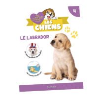 N4 : Fascicule et peluche Labrador OFFERT