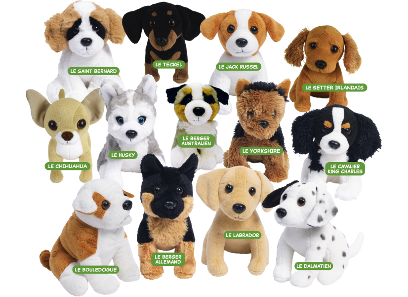 Joue et apprends avec les meilleurs amis des enfants