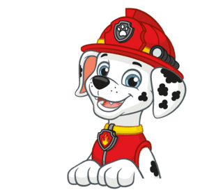 Marcus Pat'Patrouille