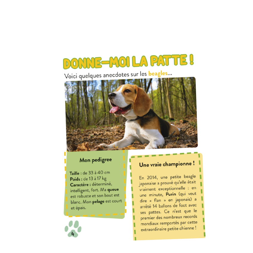 Tout savoir sur les chiens !